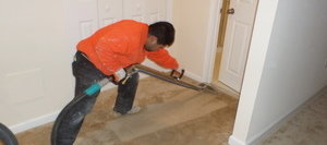 Expert Cleaning Carpet After Flooding